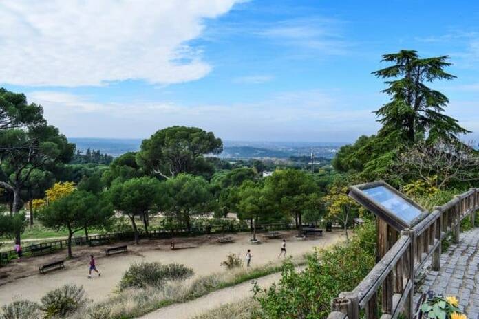 La Dehesa de la Villa un bosque de nueve siglos en medio