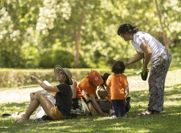 Parques madrileños