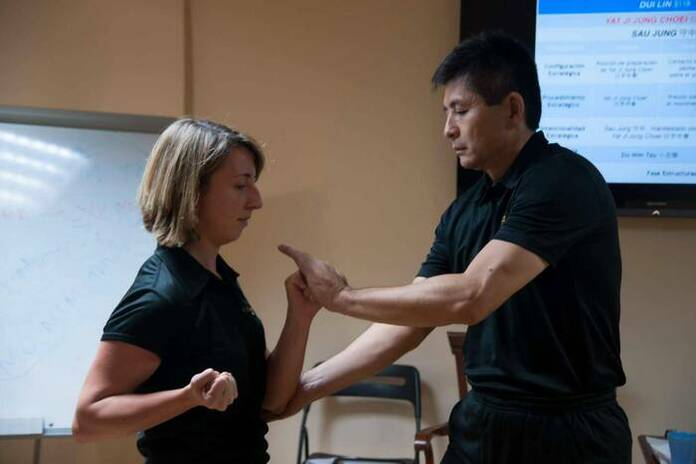 Acceso Al Sistema Ving Tsun Con Moy Yat Ving Tsun Martial Intelligence