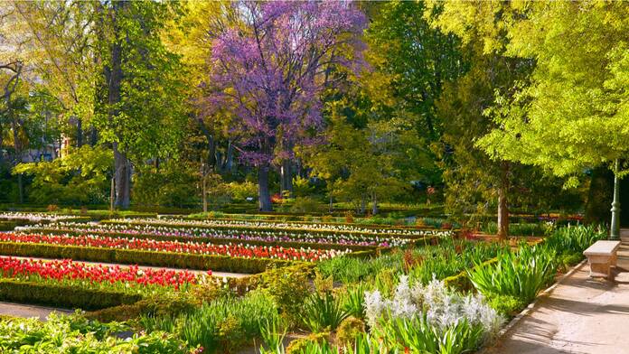 EL JARDÍN BOTÁNICO: UN LUGAR PARA LA COMUNIDAD