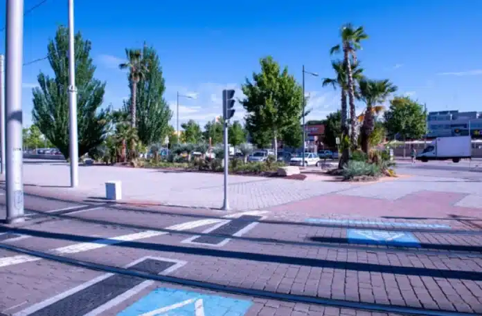 EL AYUNTAMIENTO CREA UN XEROJARDÍN EN PUERTA DE BOADILLA, CON PALMERAS Y PLANTAS DE BAJO CONSUMO HÍDRICO